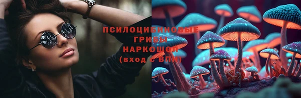 ГАЛЛЮЦИНОГЕННЫЕ ГРИБЫ Богданович